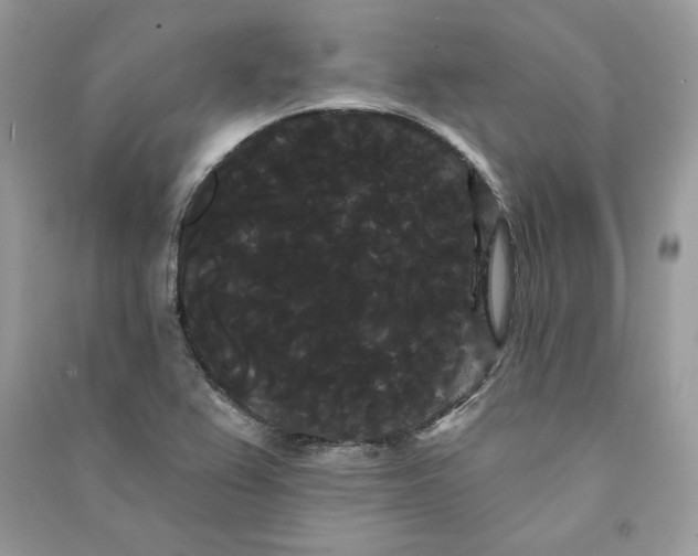 X0000090711367200708101456