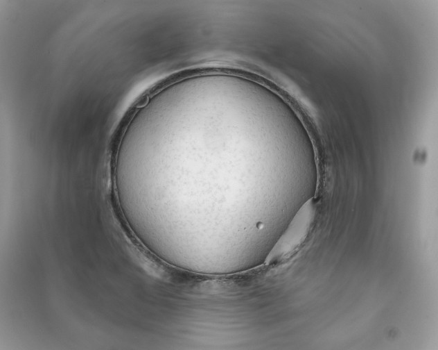 X0000090711368200708101456