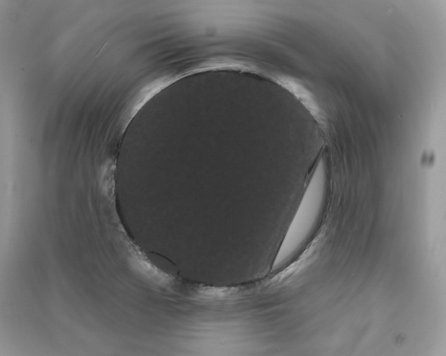 X0000090711369200708101456