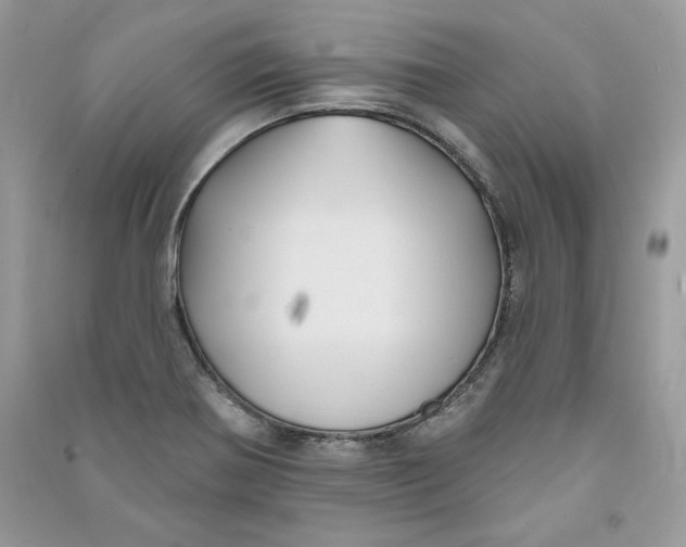 X0000090711370200708101456