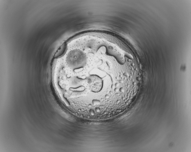 X0000090711371200708101456