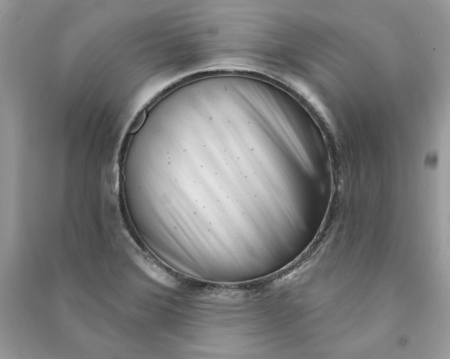 X0000090711372200708101456