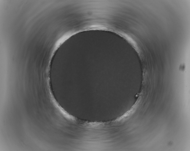 X0000090711373200708101456