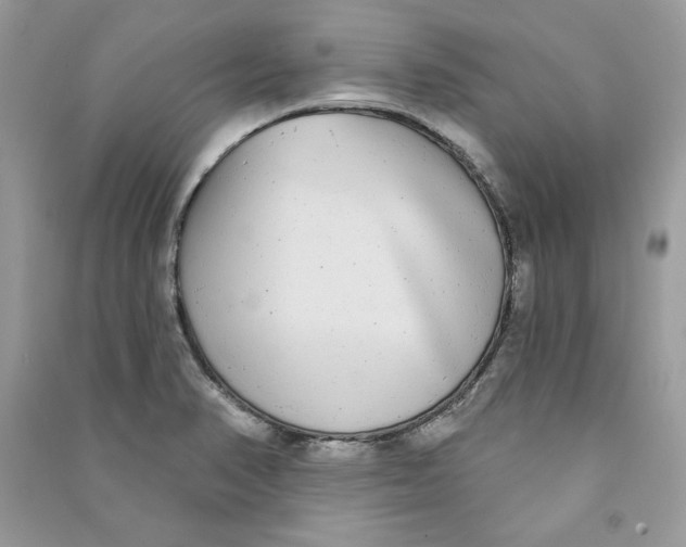 X0000090711374200708101456