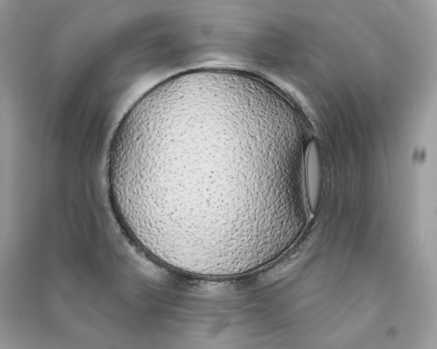 X0000090711375200708101456