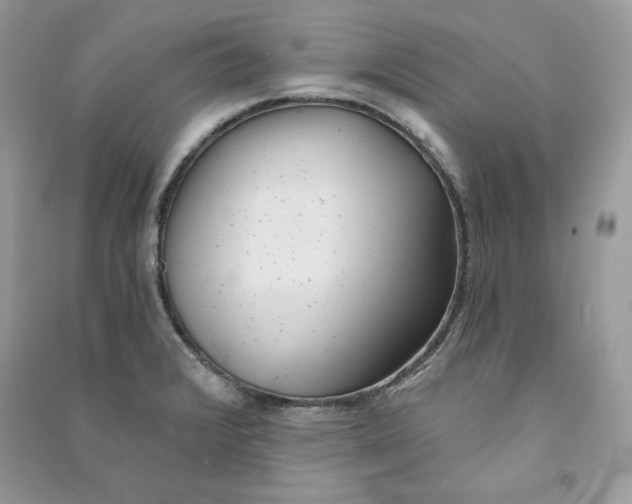 X0000090711376200708101456