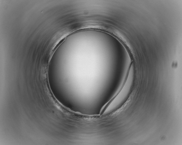 X0000090711377200708101456