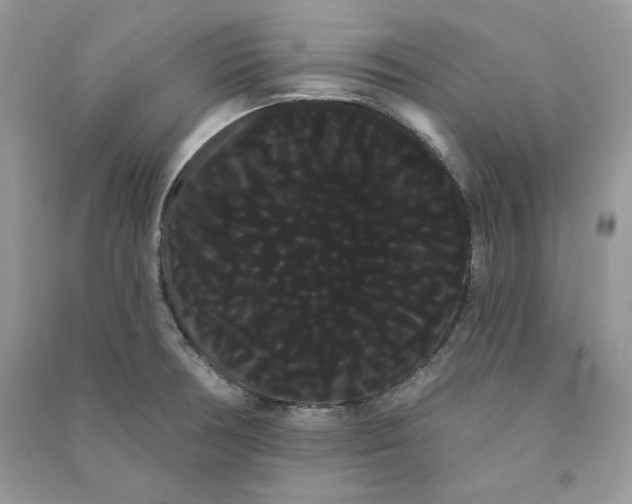 X0000090711378200708101456