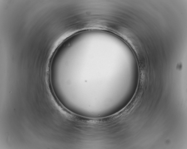 X0000090711379200708101456