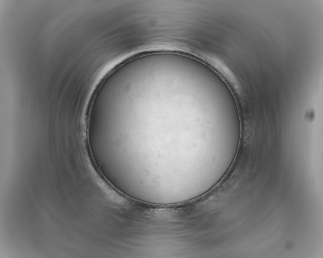 X0000090711380200708101456