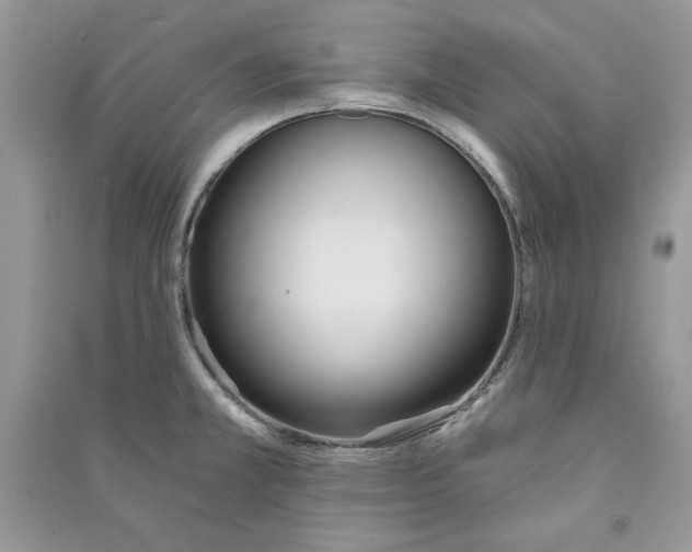 X0000090711381200708101456