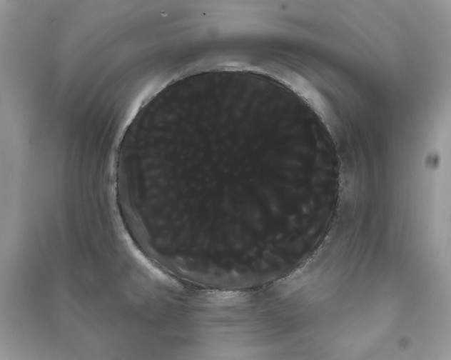 X0000090711382200708101456