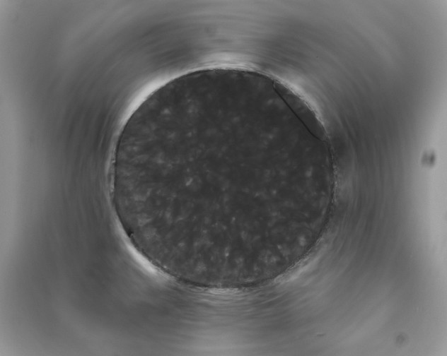 X0000090711383200708101456