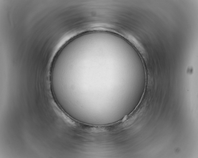 X0000090711384200708101456