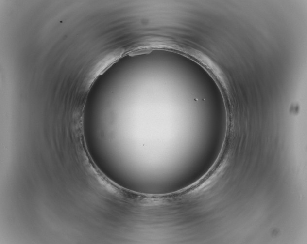 X0000090711385200708101456