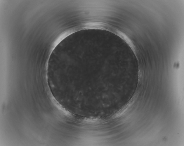 X0000090711386200708101456