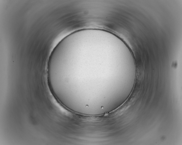 X0000090711387200708101456