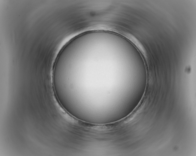 X0000090711388200708101456