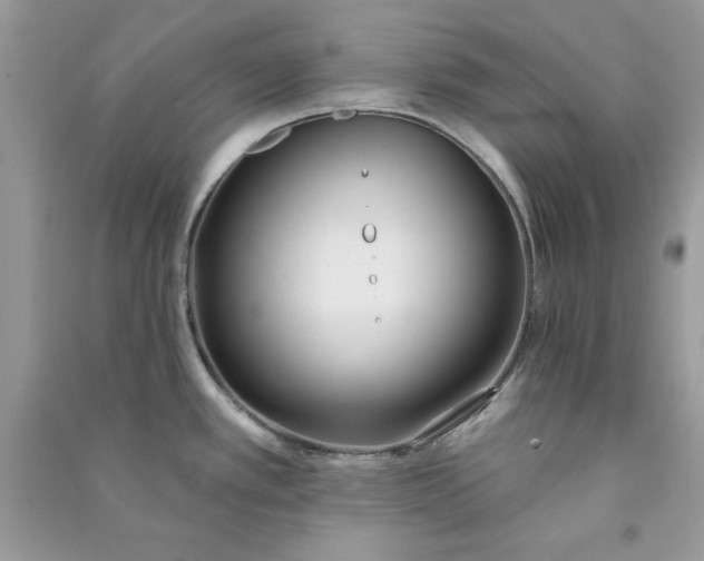 X0000090711389200708101456