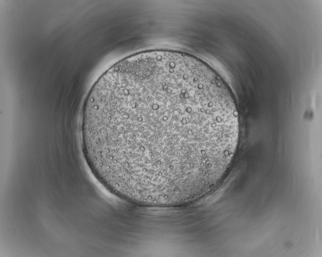 X0000090711391200708101456