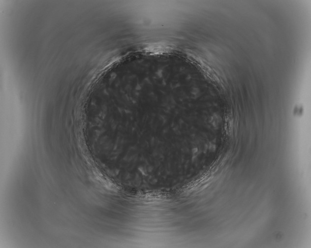 X0000090711393200708101455