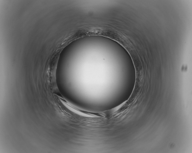 X0000090711394200708101455