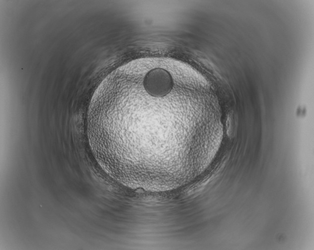 X0000090711395200708101455