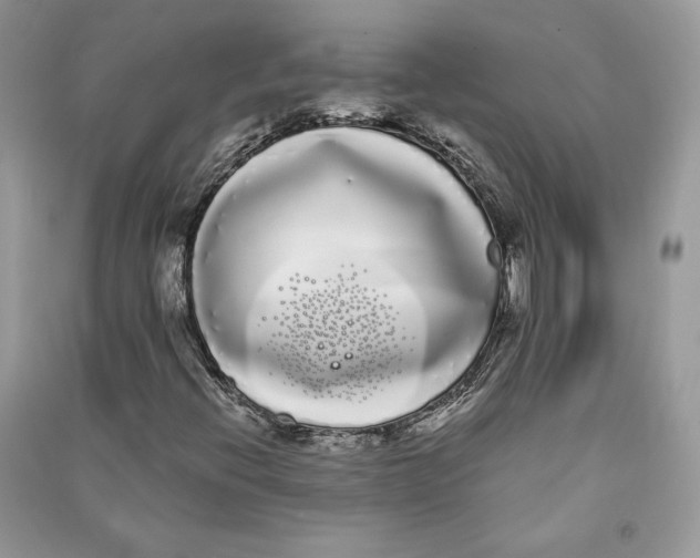 X0000090711396200708101455