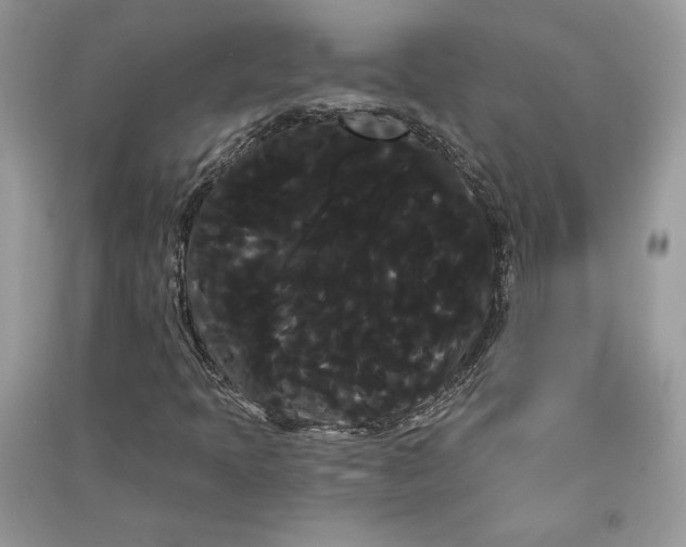 X0000090711397200708101455