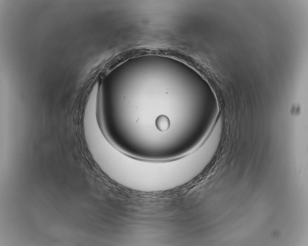 X0000090711398200708101455