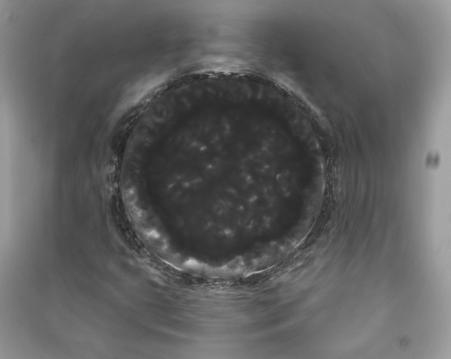 X0000090711399200708101455