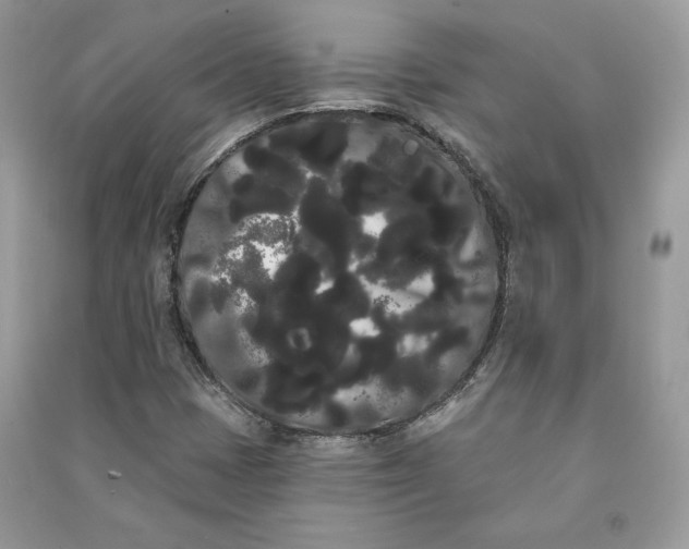 X0000090711401200708101455