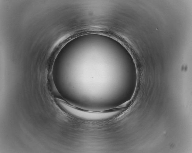 X0000090711402200708101455