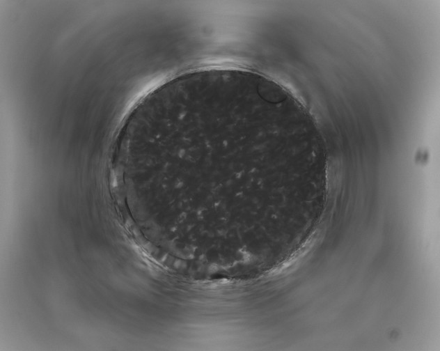 X0000090711405200708101455