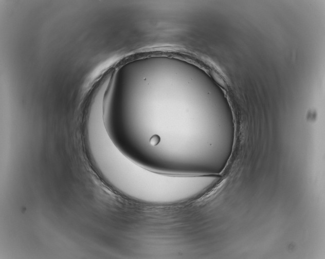 X0000090711406200708101455