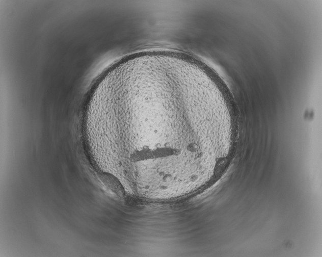 X0000090711407200708101455