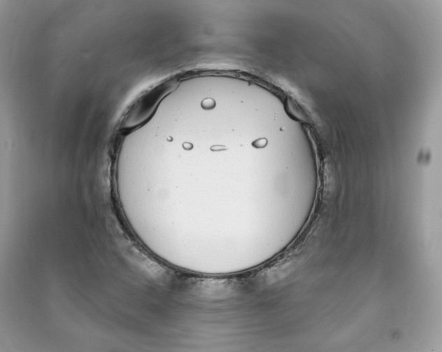 X0000090711408200708101455