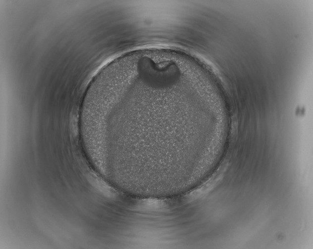 X0000090711409200708101455