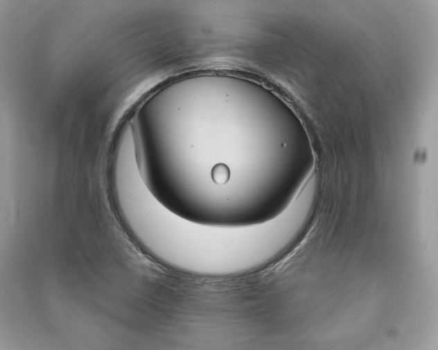 X0000090711410200708101455