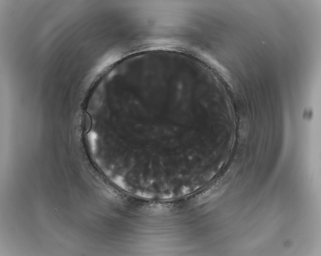 X0000090711411200708101455