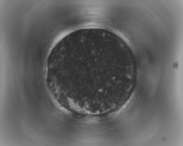 X0000090711413200708101455