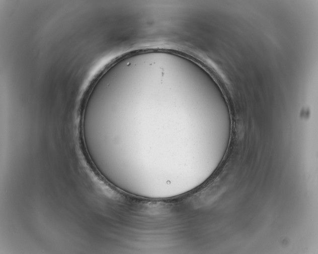 X0000090711416200708101455