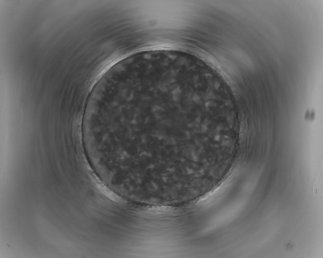 X0000090711417200708101455