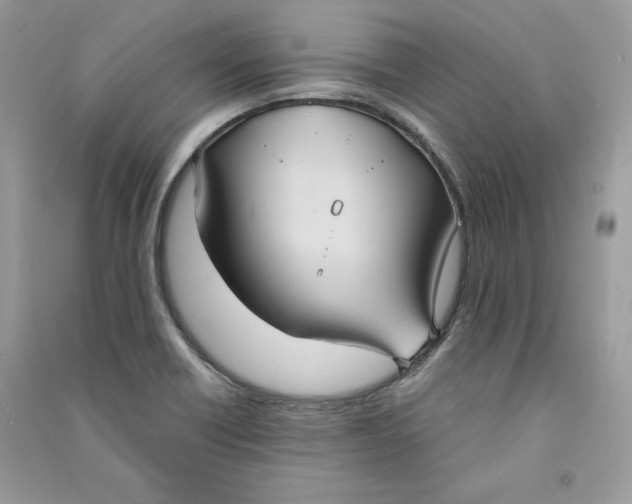 X0000090711418200708101455