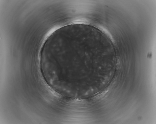 X0000090711419200708101455