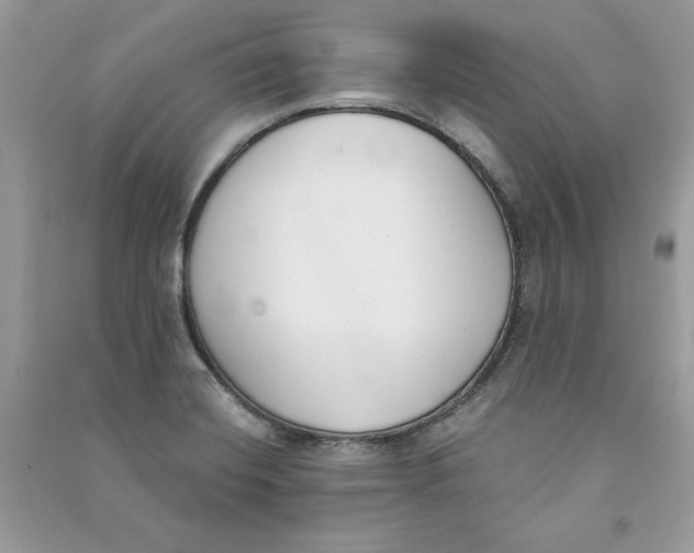 X0000090711420200708101455