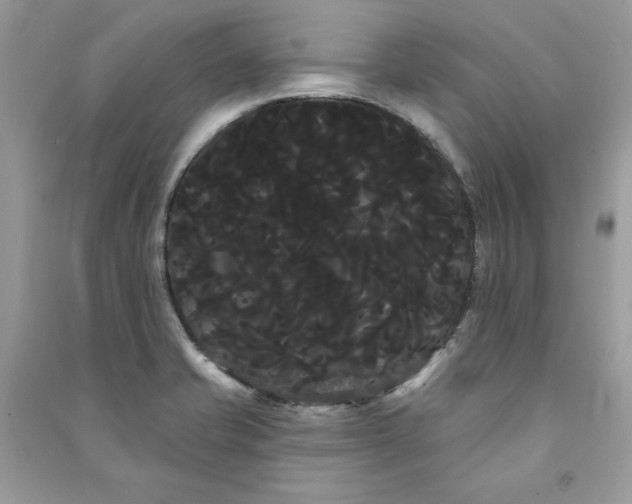 X0000090711421200708101455