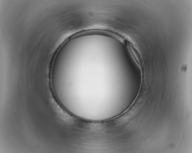 X0000090711422200708101455