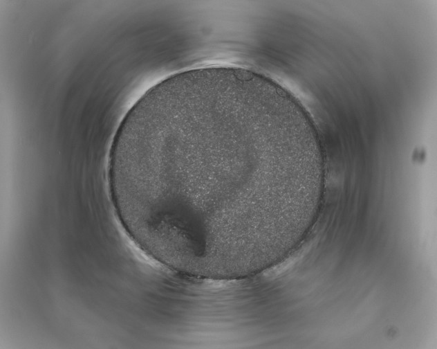 X0000090711423200708101455