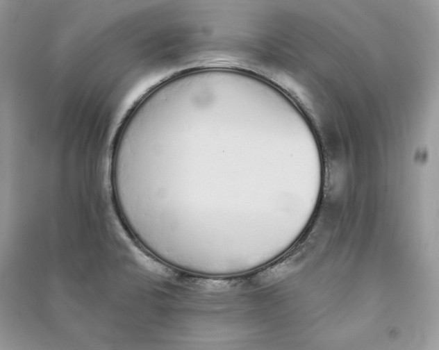 X0000090711424200708101455